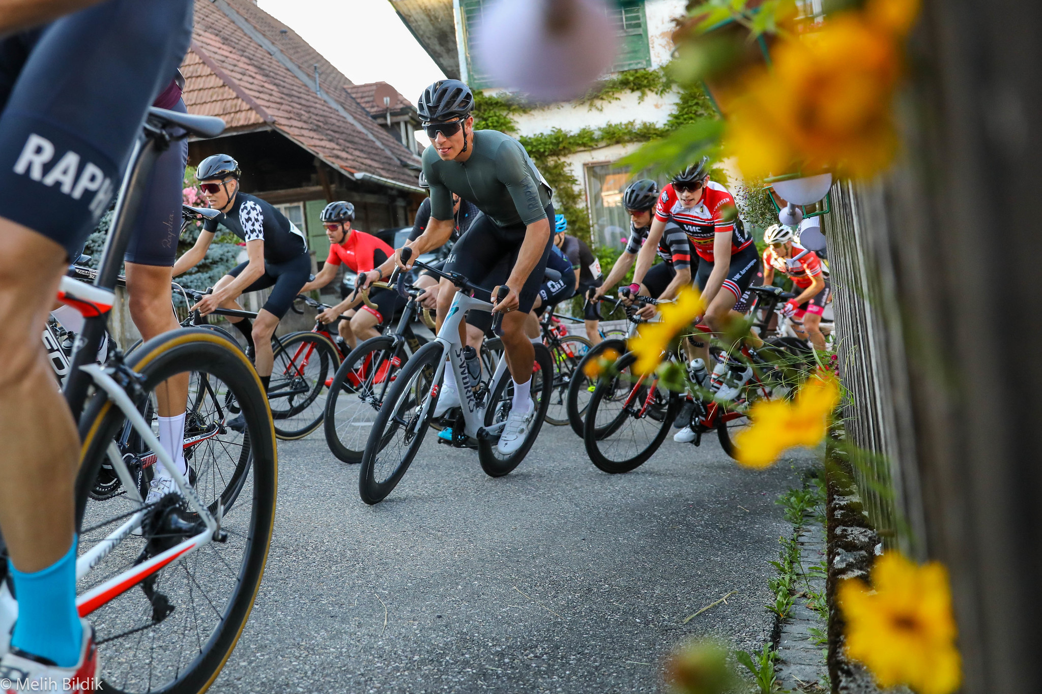 50037848983_79a6dc82b6_k